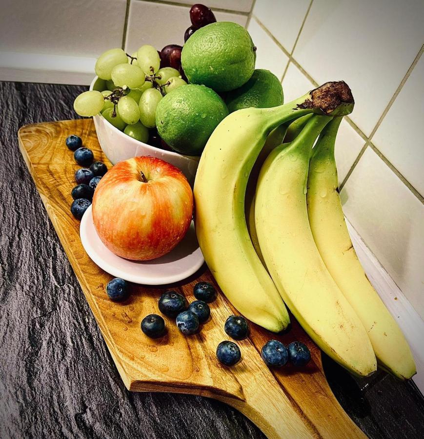 Apartment Essen Holsterhausen Екстериор снимка